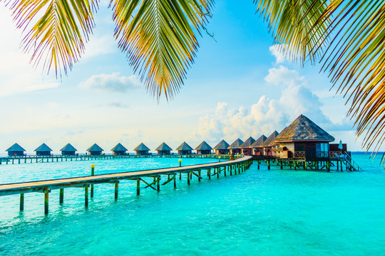 Maldives Honeymoon Special